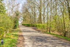 Weg buitengebied met bomen.