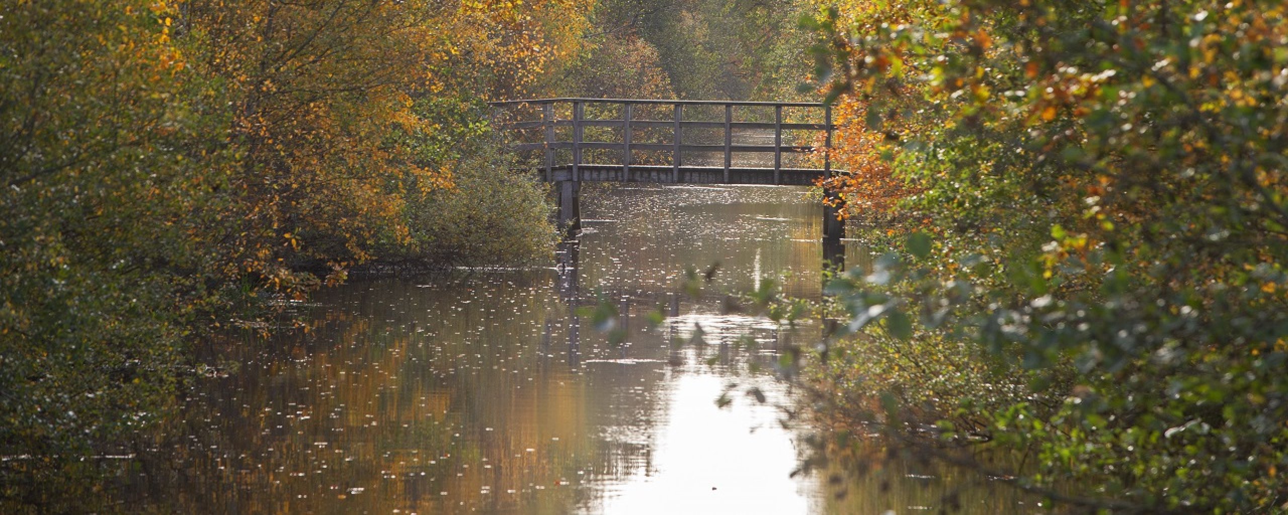 Herfstlandschap met sloot, brug en bomen met geel, oranje, bruine en groene bladeren