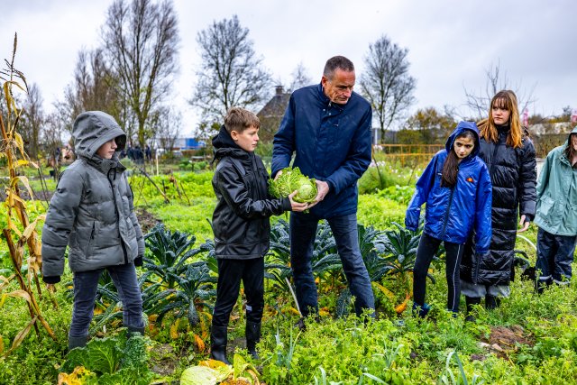 Wethouder Jelle Boerema en leerling oogsten een bloemkool in de Kruidhof