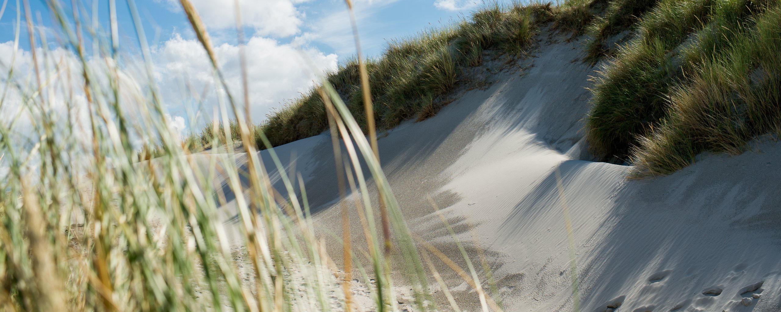 Strand van Ameland