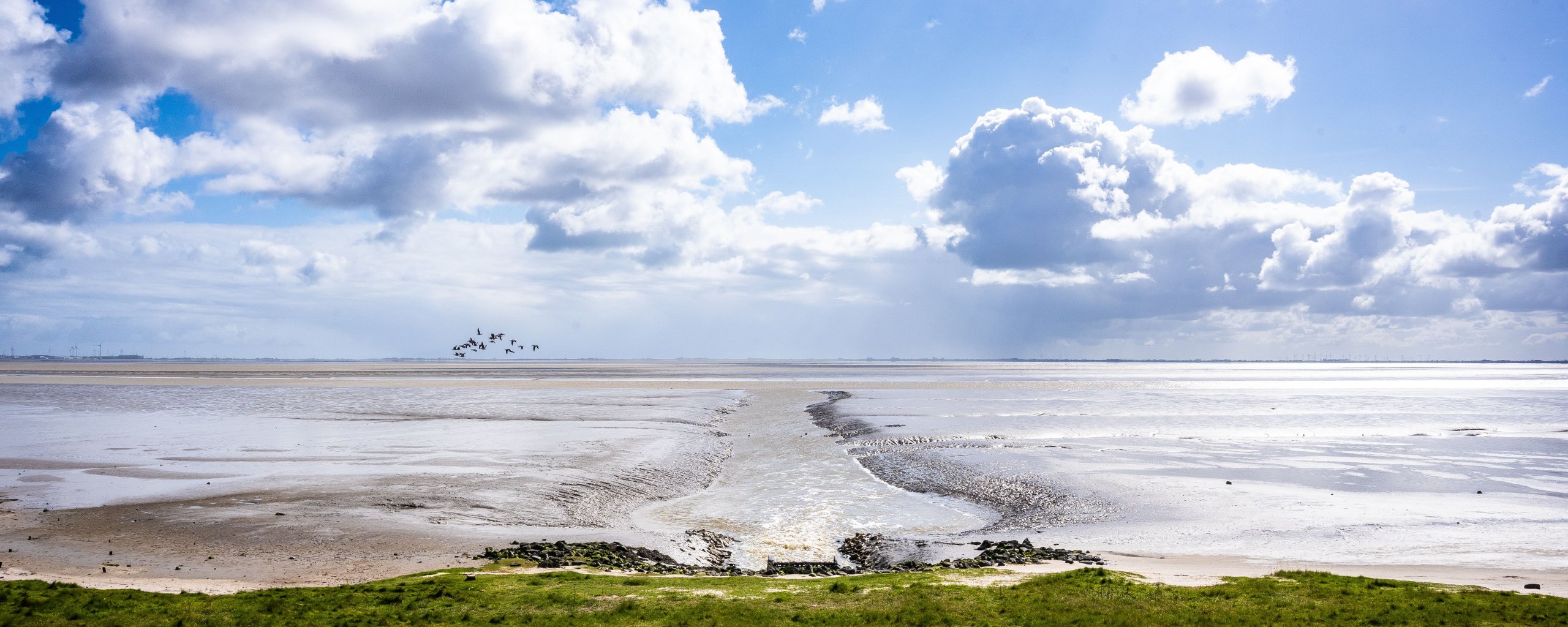 Waddenzee en dijk
