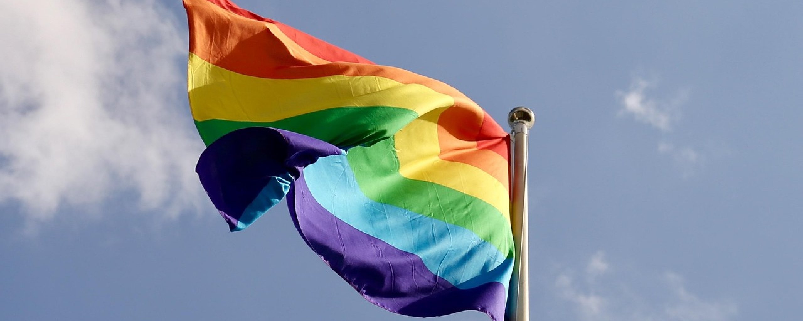 Regenboogvlag