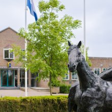 Gemeentehuis met beelden van paarden