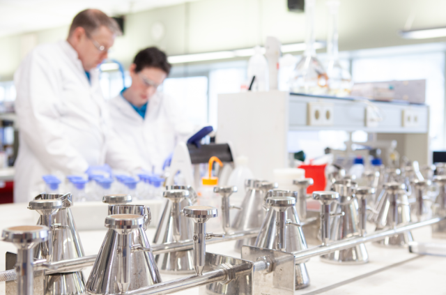 Stagiaires determineren monster