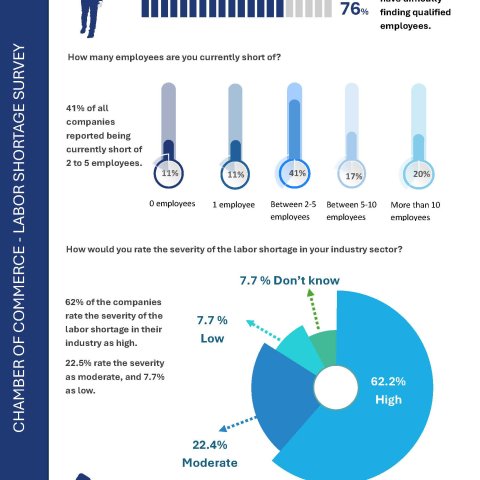 Results Labor Shortage Survey