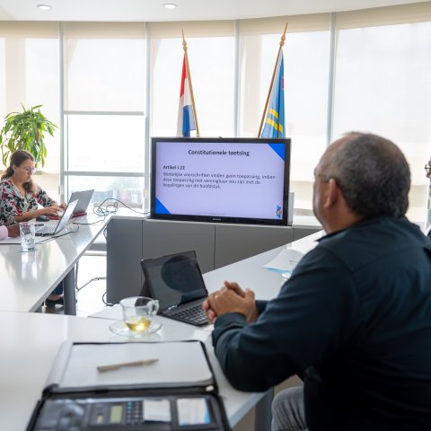 Sesion di consulta publico encuanto e introduccion di Derecho di Naturalesa den nos constitucion.