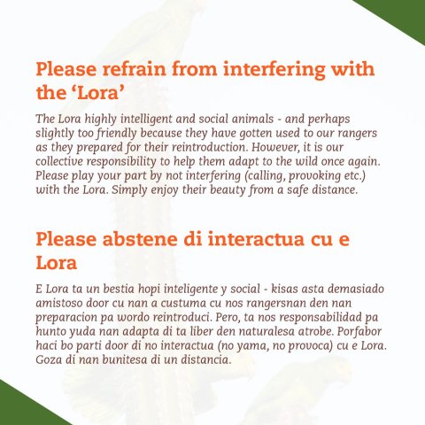 Lora ta protegi pa ley