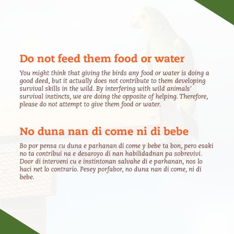 Lora ta protegi pa ley