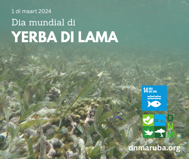 Dia mundial di yerba di lama