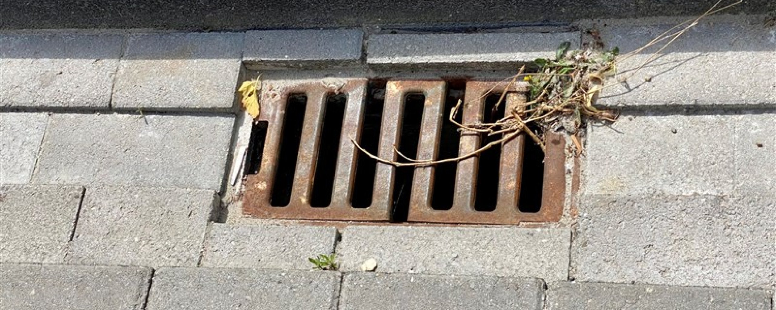 Een rooster op de straat direct langs de stoeprand voor hemelwaterafvoer van de straat, ook wel straatkolk genaamd