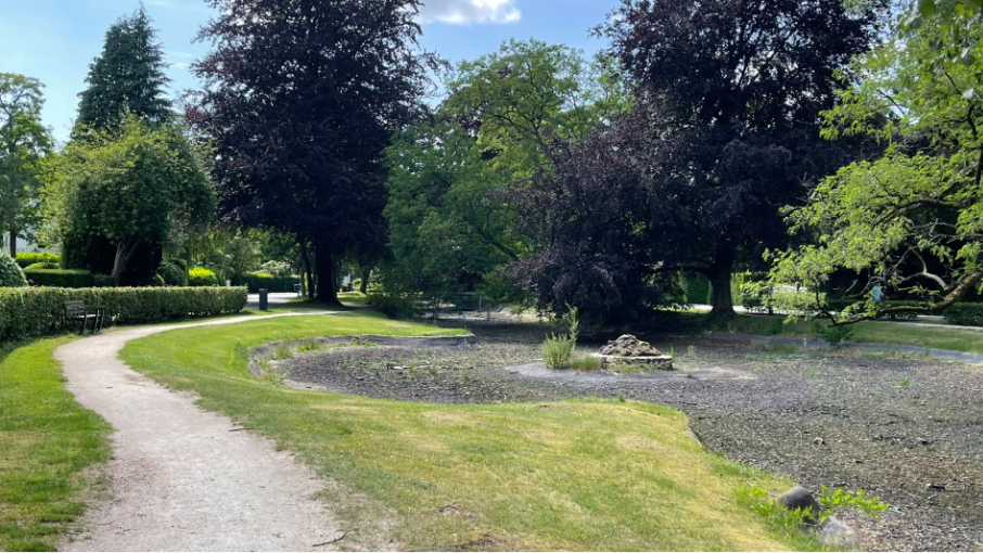 De Wilhelminavijver zoals die er nu bijligt: zonder water