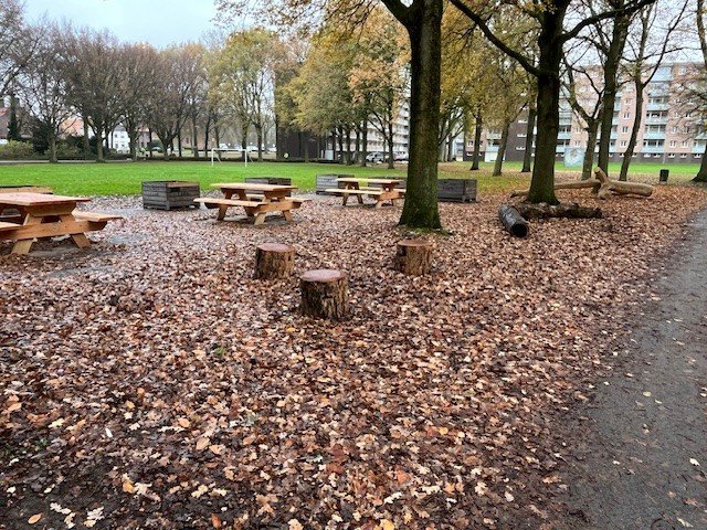 Foto van de groene ontmoetingsplek in de Carmelwijk. Foto van boomstronken, bankjes en bomen in een groene omgeving.