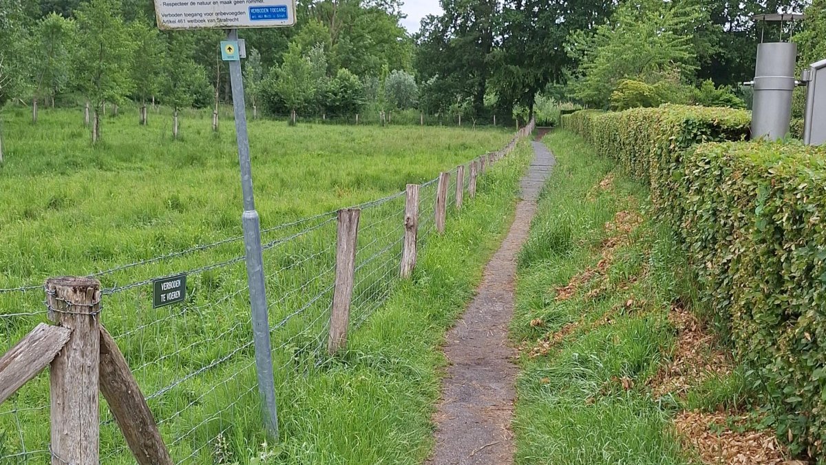Werkzaamheden vlonder Platsmolenweg Nuth vanaf 8 juni