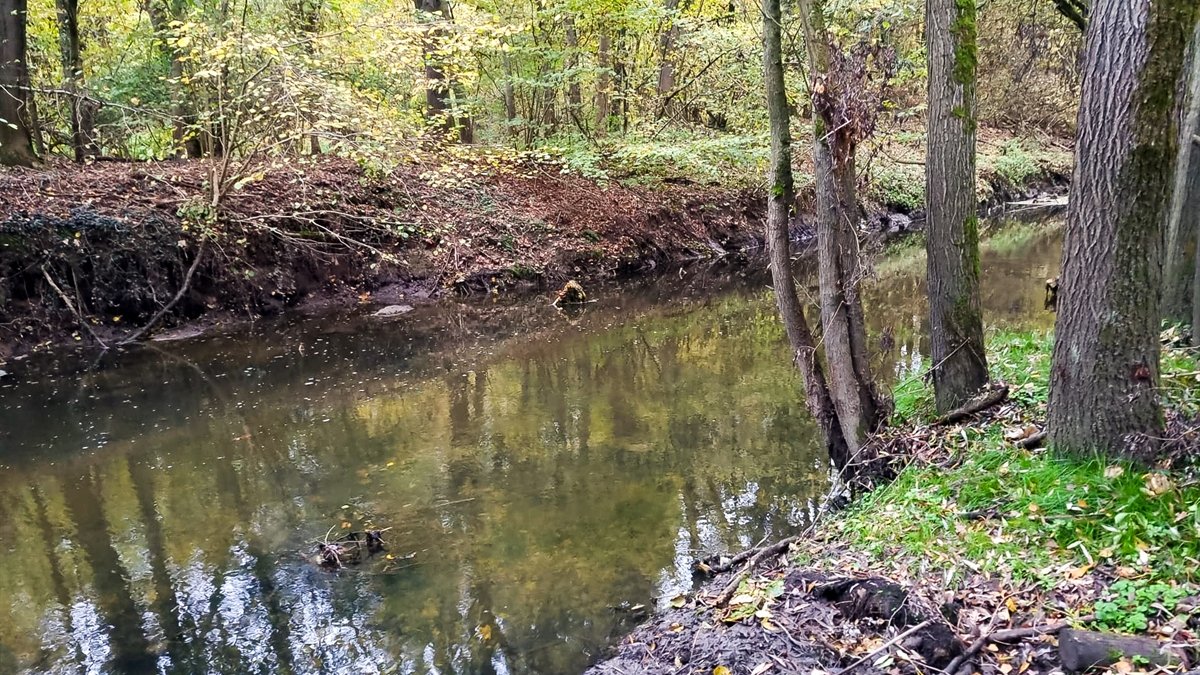 Werkzaamheden herinrichting Geleenbeek Terborgh van start