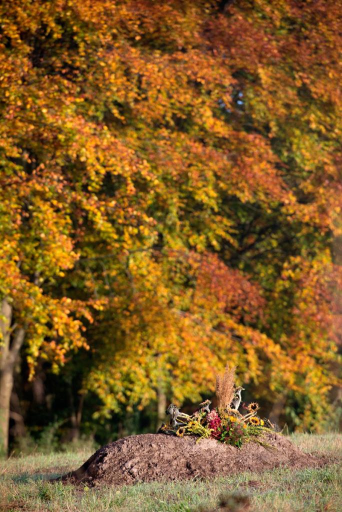 foto van graf in de herfst