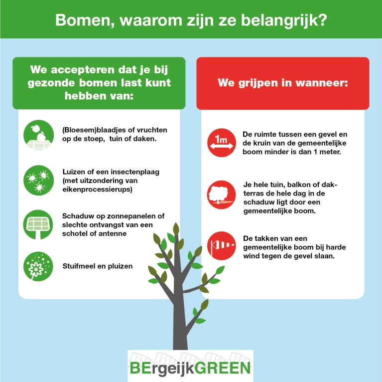 Een afbeelding met tekst met waarom bomen belangrijk zijn