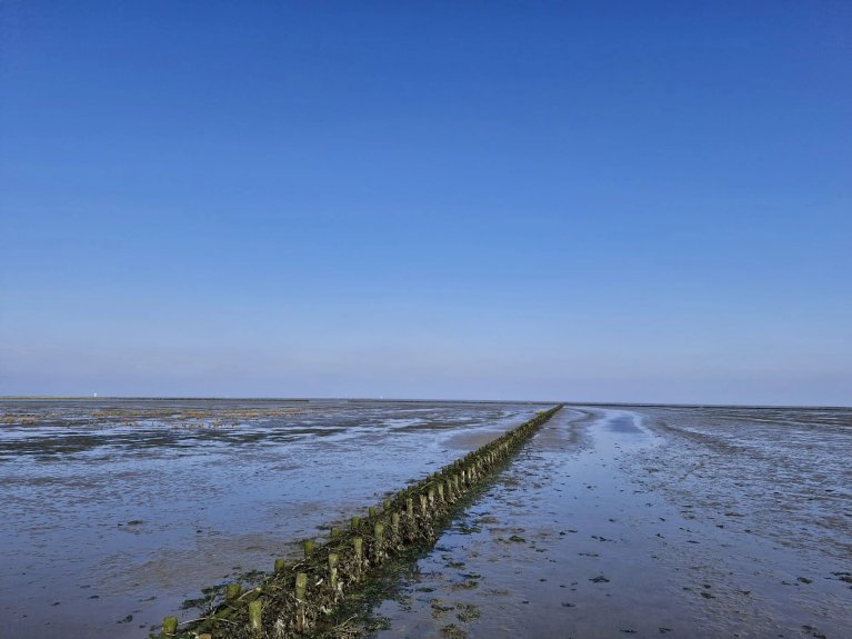 Wadden