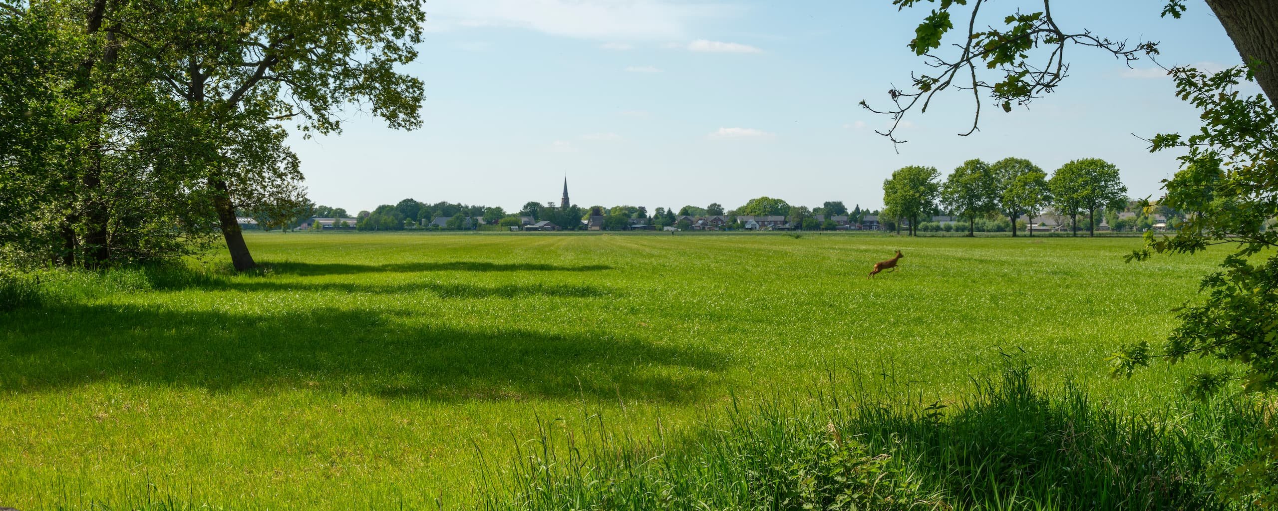 Zicht op de kern 't Loo over de weilanden