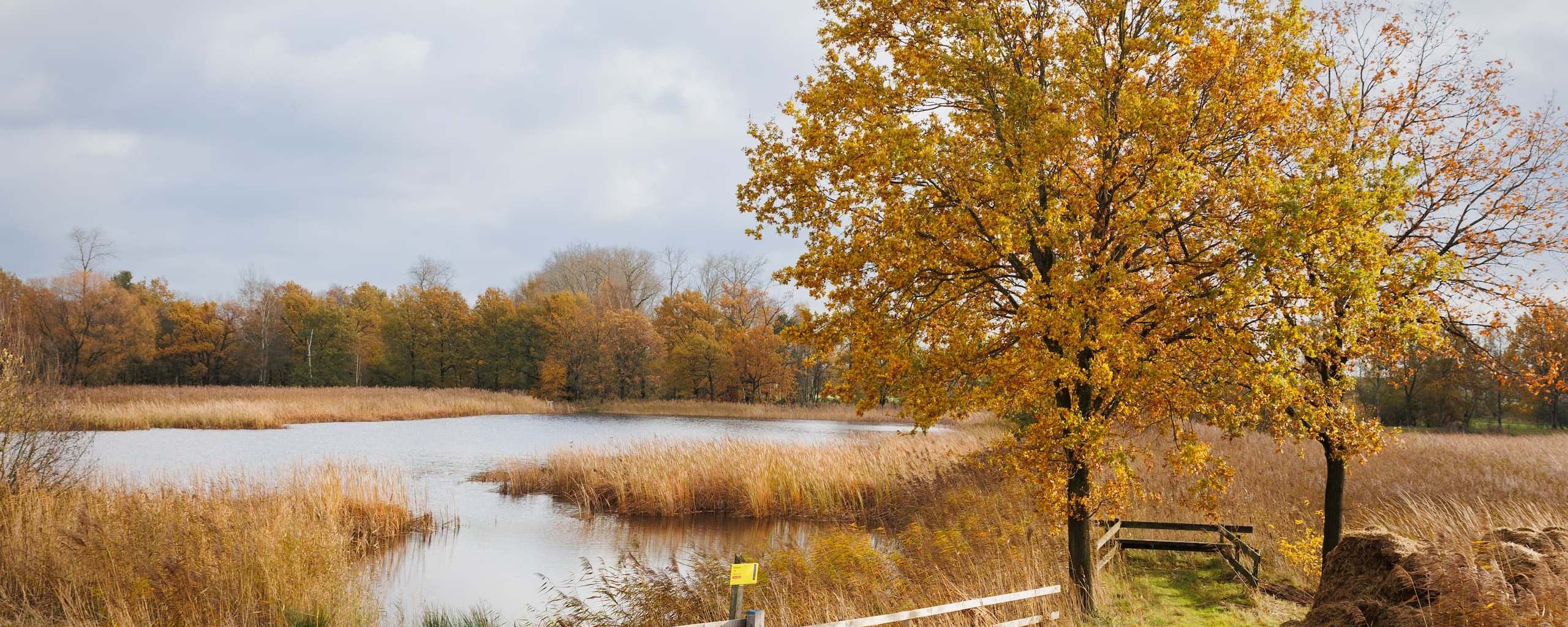 Natuur Woeste Polder