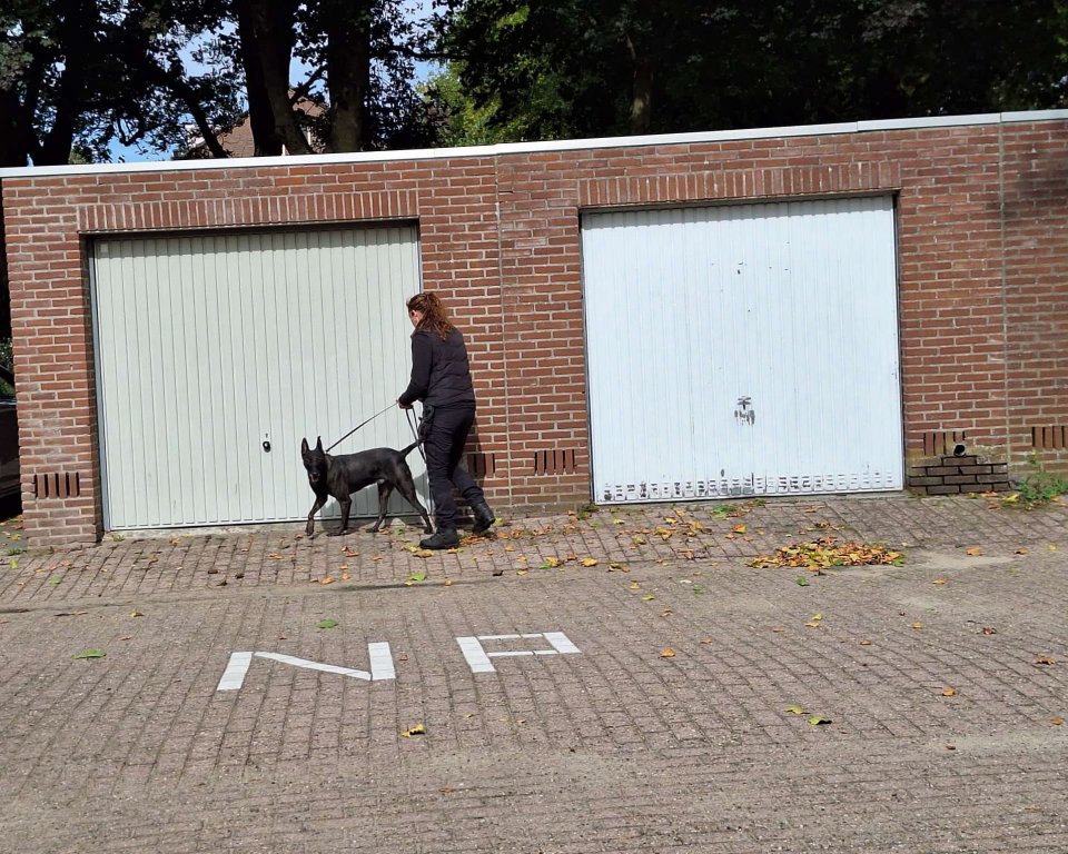 Medewerker KIT met hond bij een garagebox
