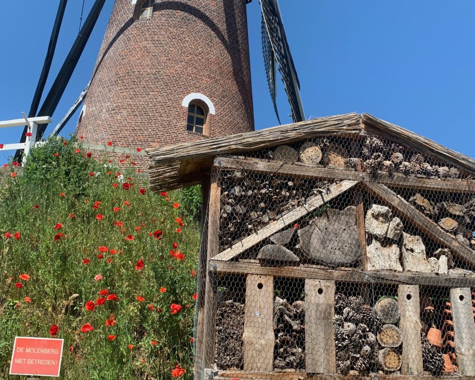 Molen met een insectenhotel erbij
