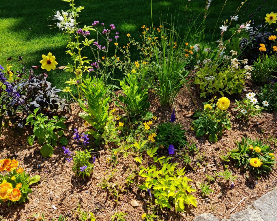 Een tuin met allerlei verschillende soorten bloemen met mulch