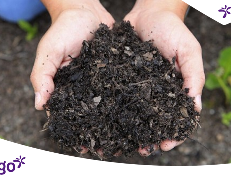 Twee handen houden een hoopje compost vast
