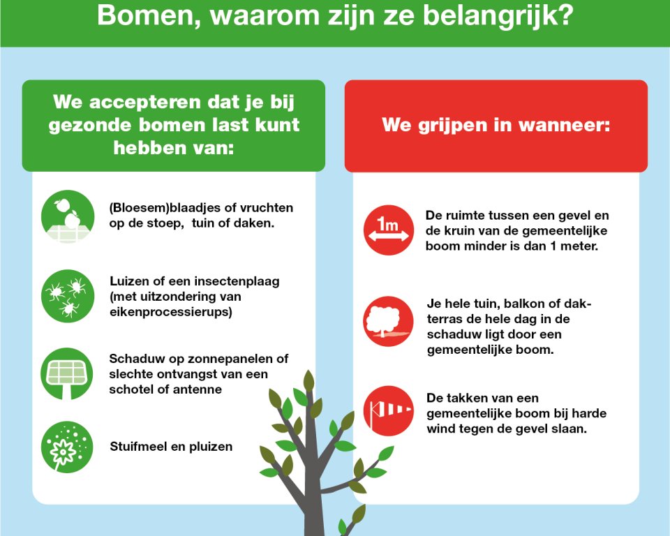 Opsomming van acceptatie en ingrijpen van waarom bomen zo belangrijk zijn