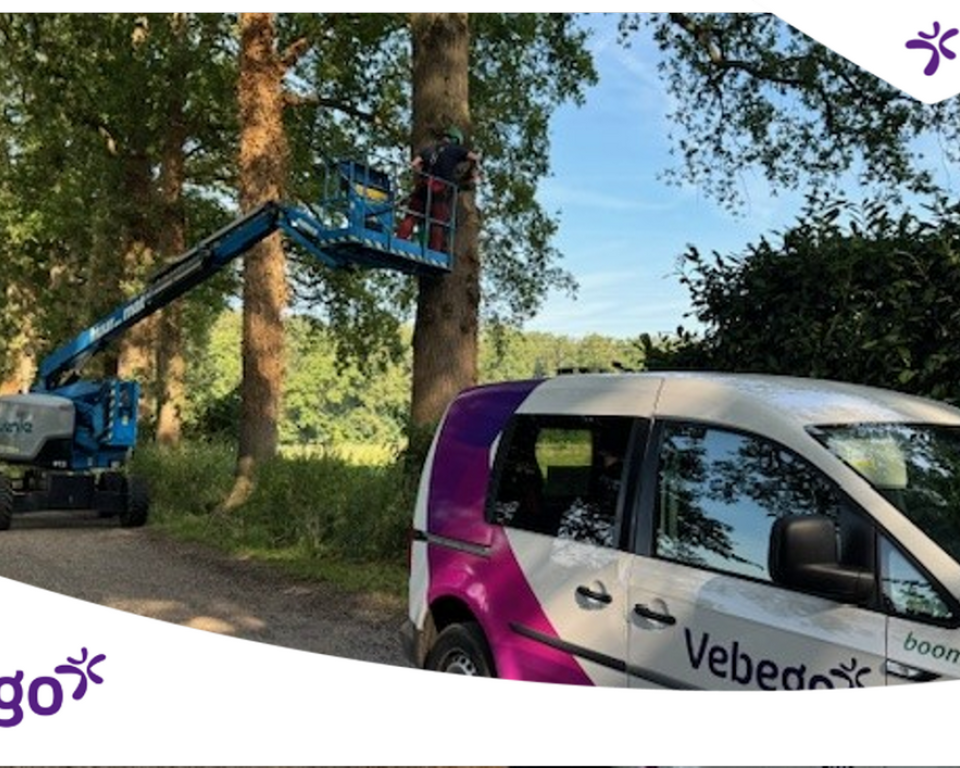 Busje van Vebego en een kraan bij een boom