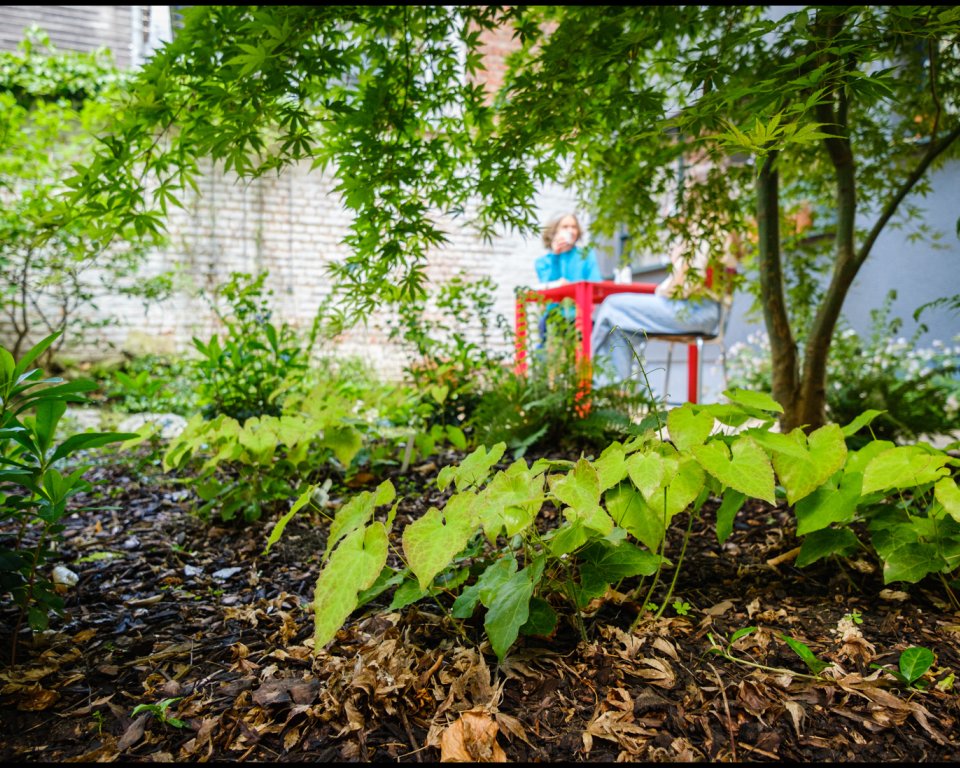 Twee mensen zitten op een stoel in de tuin