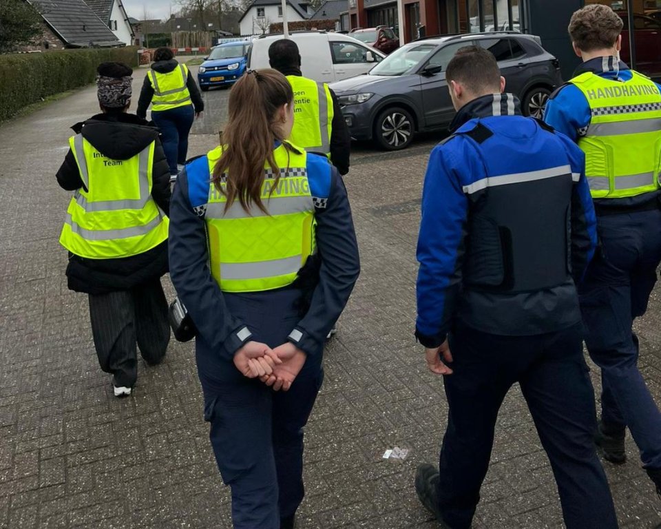 Boa's wandelen over straat