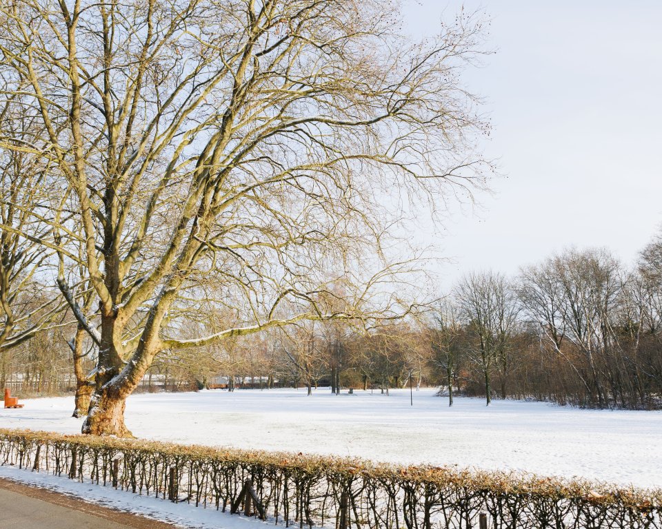 Ploegpark in de sneeuw