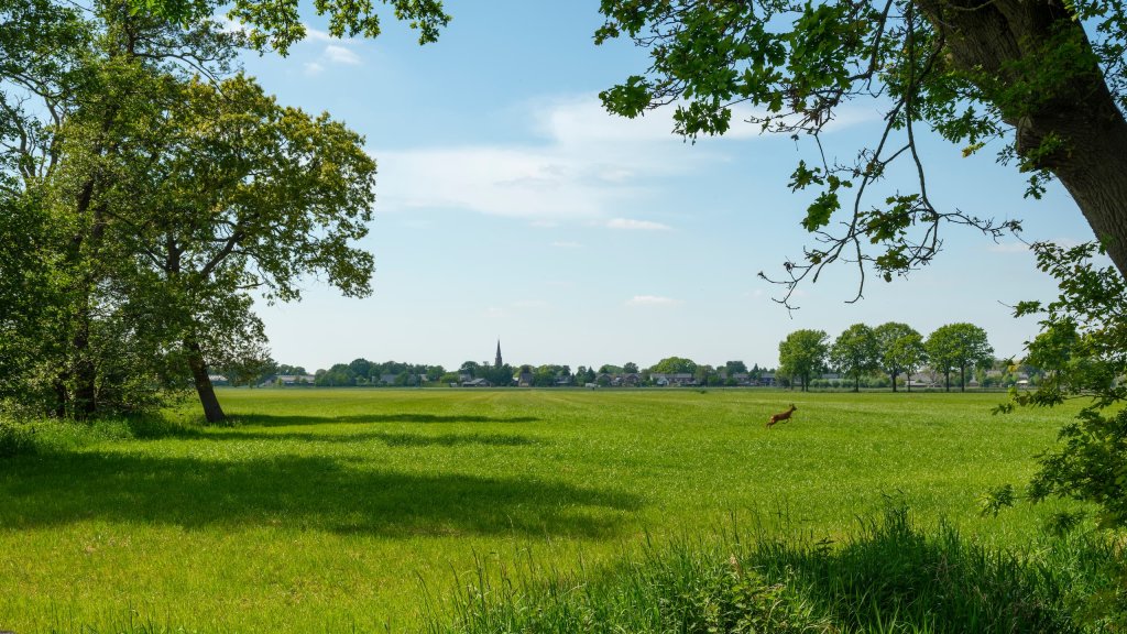 Zicht op de kern 't Loo over de weilanden