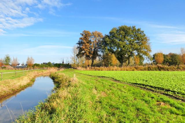 Ganzenbroek Westerhoven