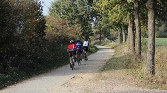 Drie wielrenners op een fietspad