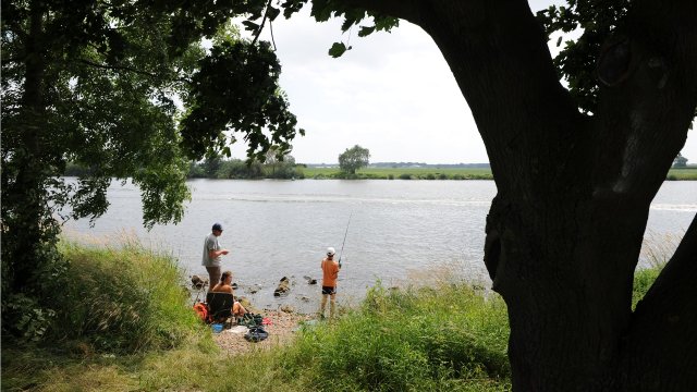 Vissen aan de Maas