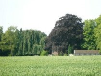 Zevenheuvelenweg 54 te Berg en Dal: Huis Herwarden