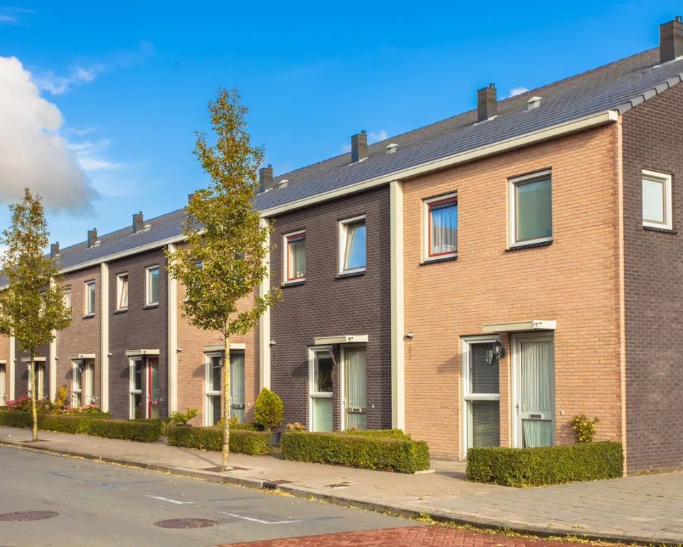 Rij rijtjeshuizen met twee jonge bomen er voor, met grijze en beige huizen.