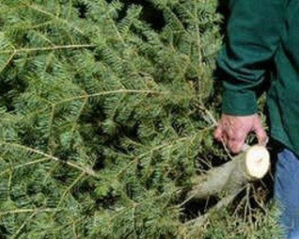 Kerstboom wordt meegesleept