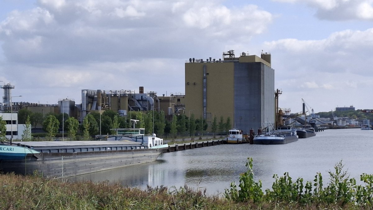 Theodorushaven Bergen op Zoom genomineerd voor landelijke Binnenhaven Award