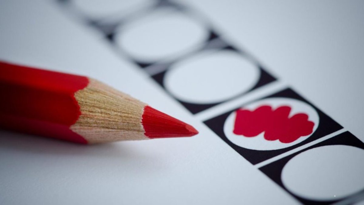 Gemeenteraadsverkiezingen Bergen op Zoom: 13 partijen, 305 kandidaten op kieslijst