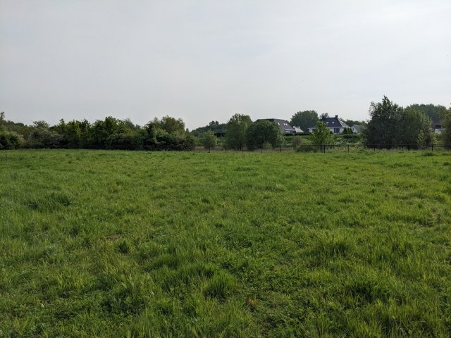Landschapsfoto, met op de voorgrond een grasveld, daarachter een rij bomen en struiken en op de achtergrond een paar huizen.