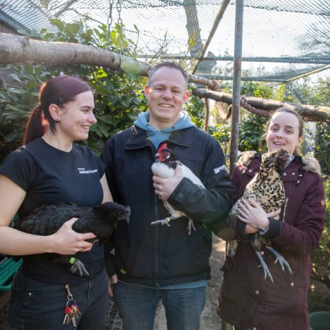 Dierentuin animal farm verbindt mensen