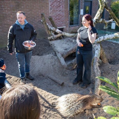 Dierentuin animal farm verbindt mensen