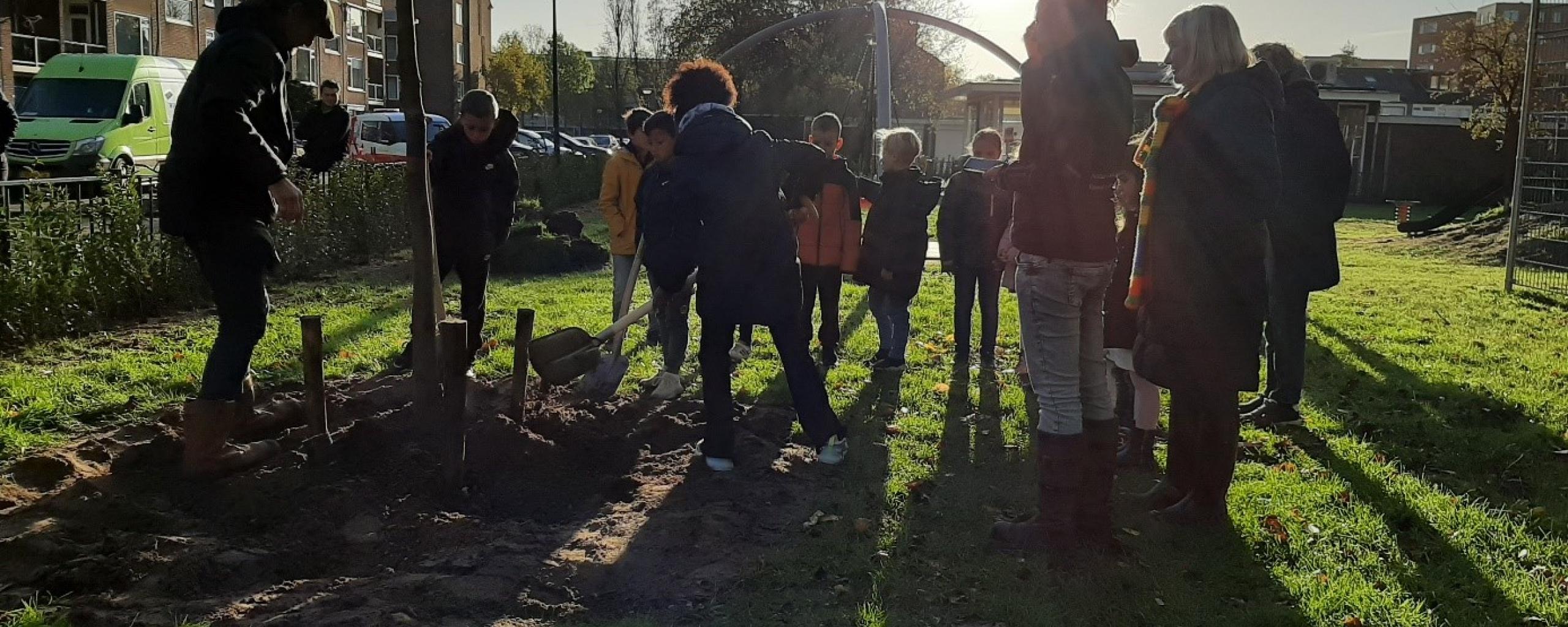 Boom geplant in de speeltuin aan de van Meelstraat