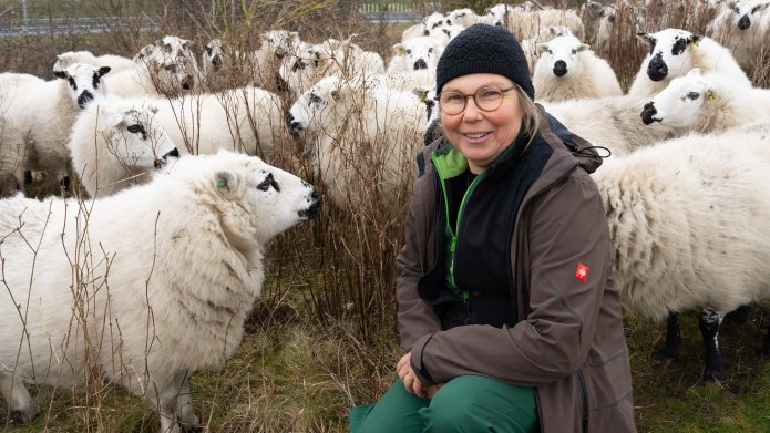 Schaapsherder Marleen tussen haar schapen