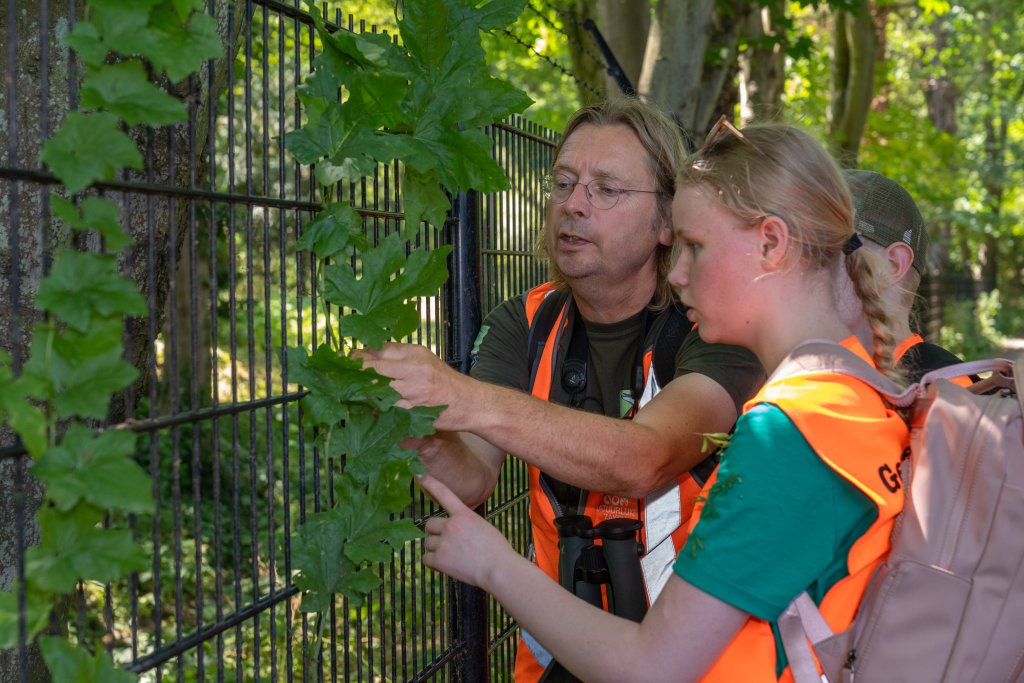 Bermsafari met ecoloog Klaas-Jan