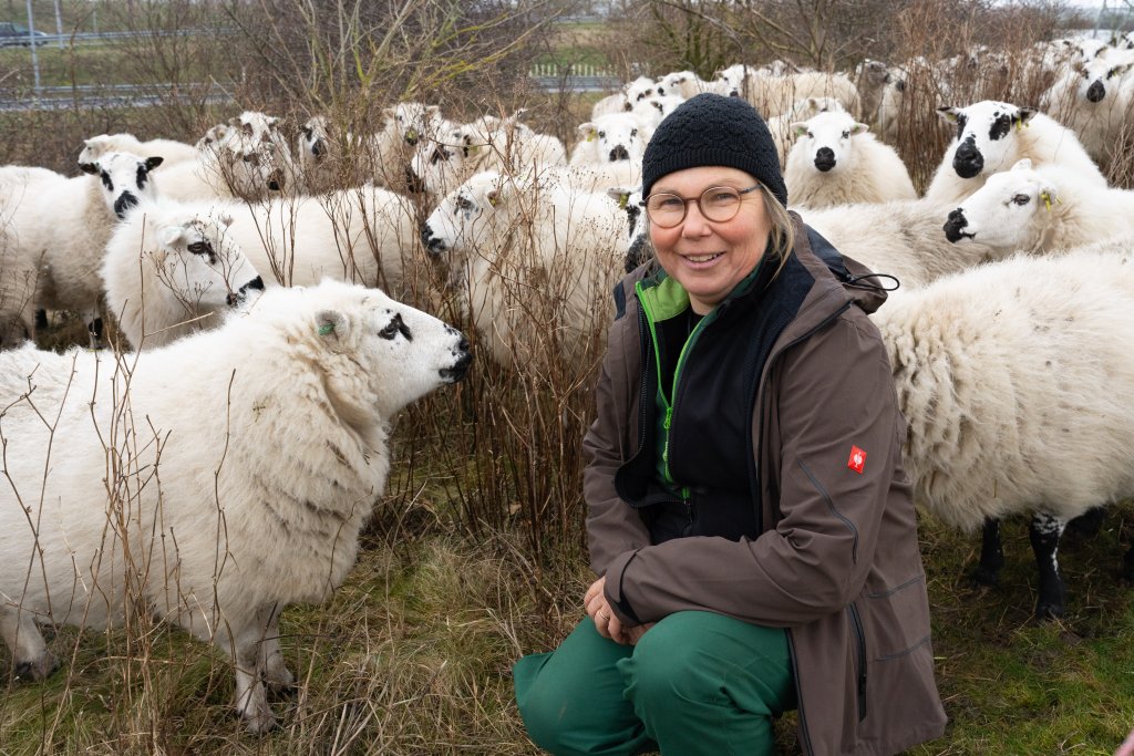 Marleen tussen haar schapen