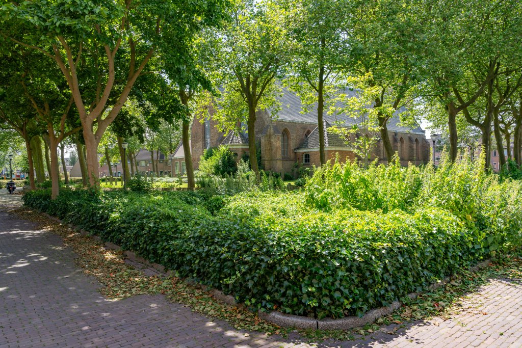 Groen op het kerkplein