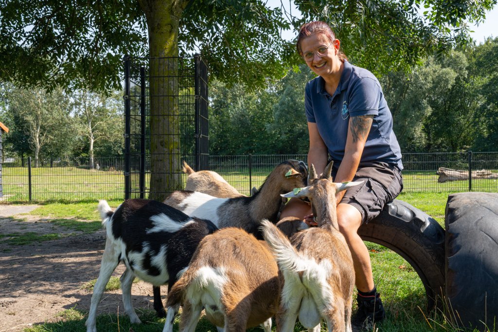 Chantal met de geiten op de kinderboerderij